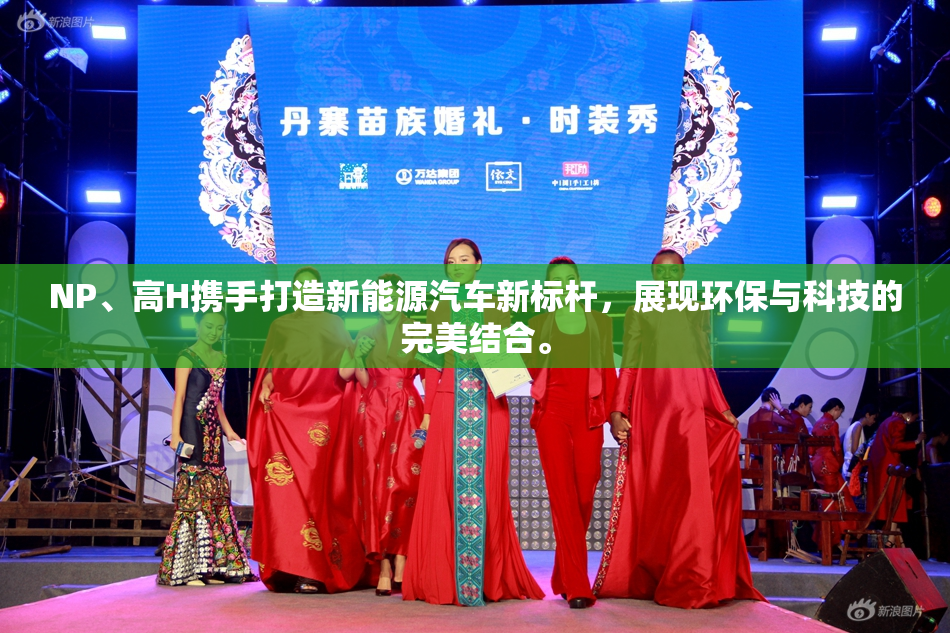 NP、高H携手打造新能源汽车新标杆，展现环保与科技的完美结合。