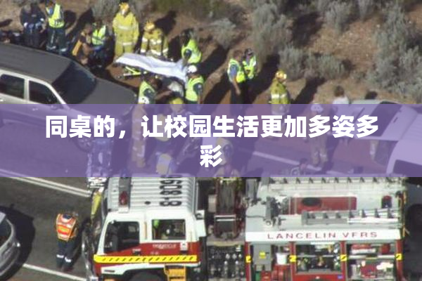 同桌的，让校园生活更加多姿多彩