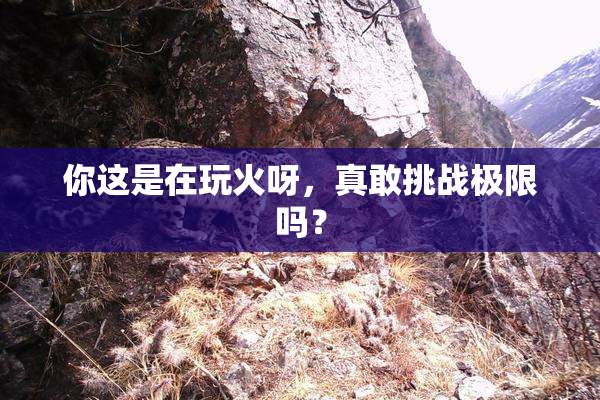 你这是在玩火呀，真敢挑战极限吗？