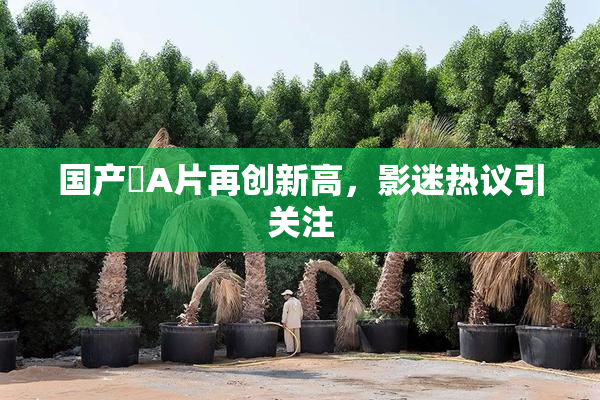 国产婬A片再创新高，影迷热议引关注