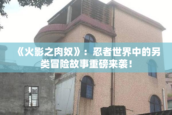 《火影之肉奴》：忍者世界中的另类冒险故事重磅来袭！