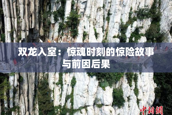 双龙入室：惊魂时刻的惊险故事与前因后果