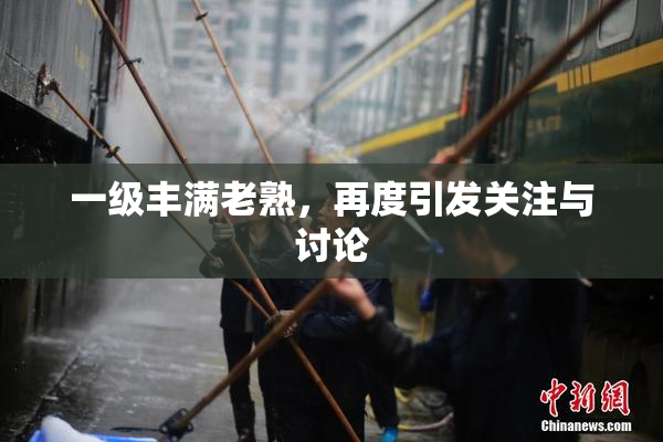 一级丰满老熟，再度引发关注与讨论