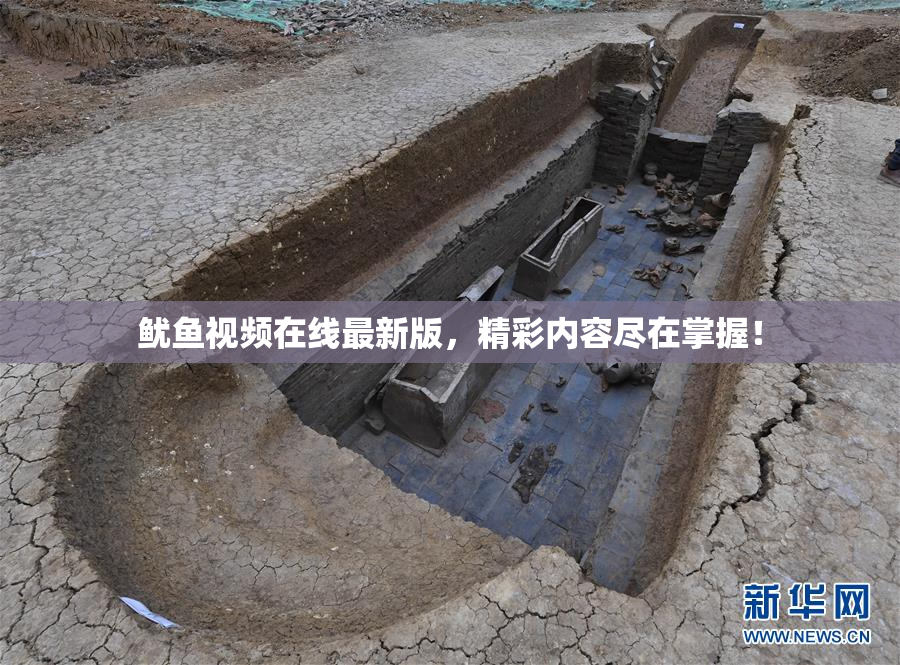 鱿鱼视频在线最新版，精彩内容尽在掌握！