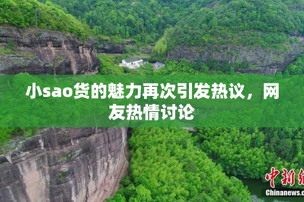 小sao货的魅力再次引发热议，网友热情讨论