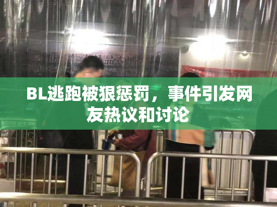 BL逃跑被狠惩罚，事件引发网友热议和讨论