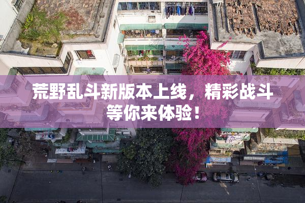 荒野乱斗新版本上线，精彩战斗等你来体验！