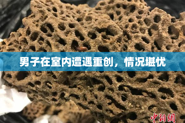 男子在室内遭遇重创，情况堪忧