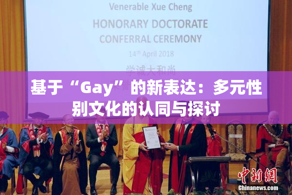基于“Gay”的新表达：多元性别文化的认同与探讨