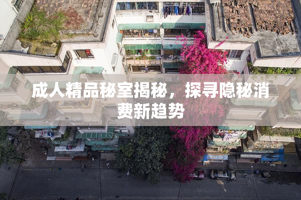 成人精品秘室揭秘，探寻隐秘消费新趋势