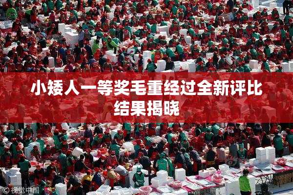 小矮人一等奖毛重经过全新评比结果揭晓