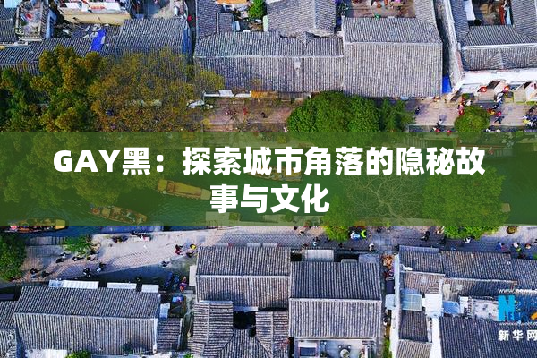 GAY黑：探索城市角落的隐秘故事与文化