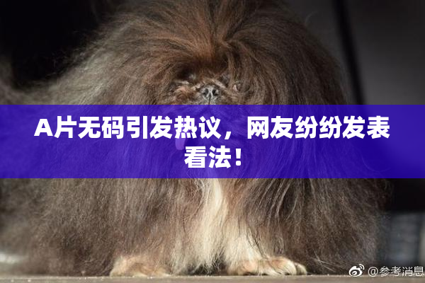 A片无码引发热议，网友纷纷发表看法！