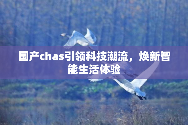 国产chas引领科技潮流，焕新智能生活体验