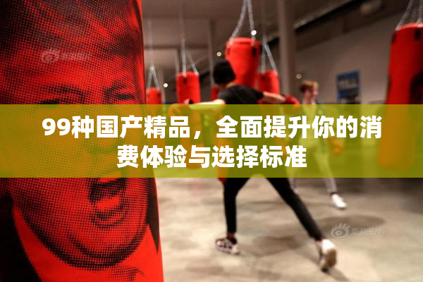 99种国产精品，全面提升你的消费体验与选择标准