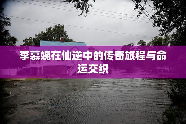 李慕婉在仙逆中的传奇旅程与命运交织