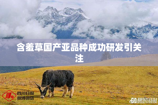 含羞草国产亚品种成功研发引关注