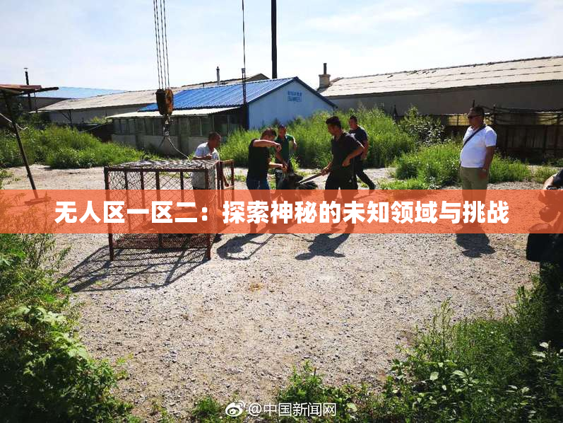 无人区一区二：探索神秘的未知领域与挑战
