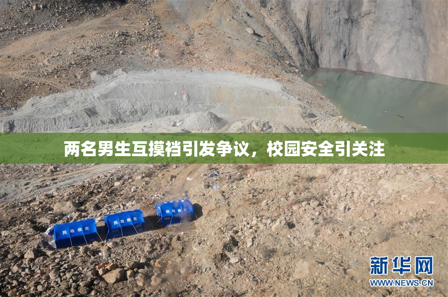 两名男生互摸裆引发争议，校园安全引关注