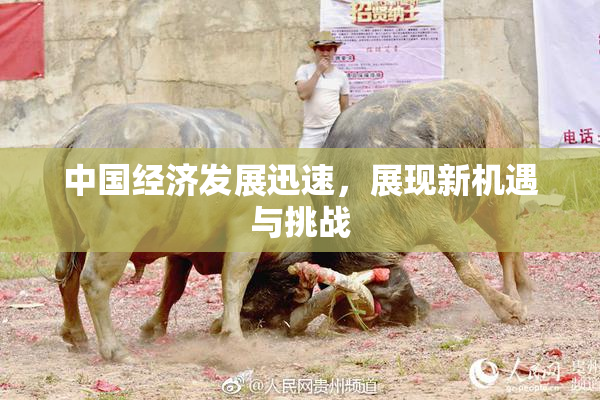 中国经济发展迅速，展现新机遇与挑战