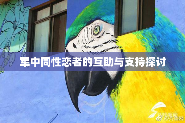 军中同性恋者的互助与支持探讨