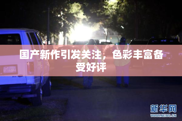 国产新作引发关注，色彩丰富备受好评
