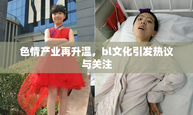 色情产业再升温，bl文化引发热议与关注
