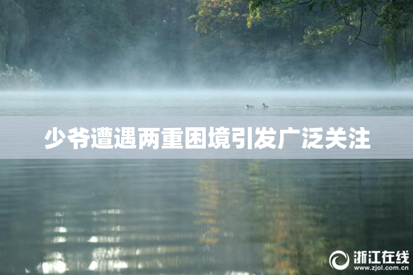 少爷遭遇两重困境引发广泛关注