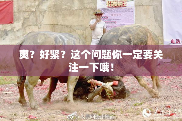 爽？好紧？这个问题你一定要关注一下哦！