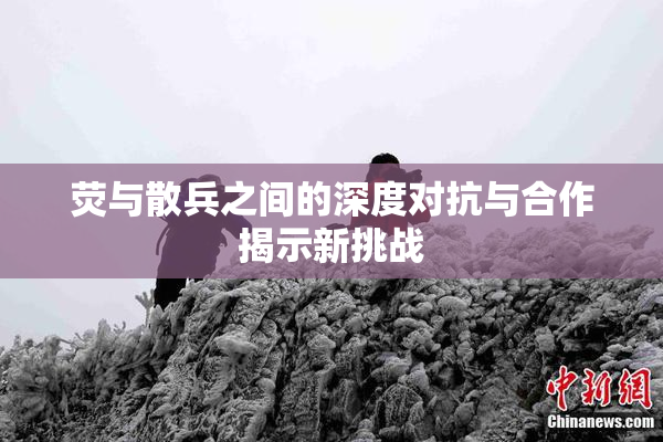 荧与散兵之间的深度对抗与合作揭示新挑战