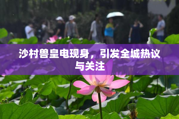 沙村兽皇电现身，引发全城热议与关注