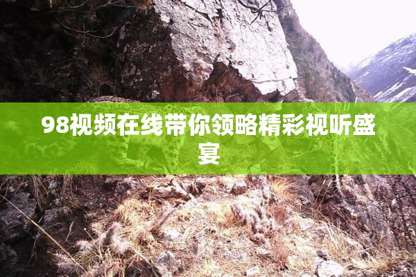 98视频在线带你领略精彩视听盛宴