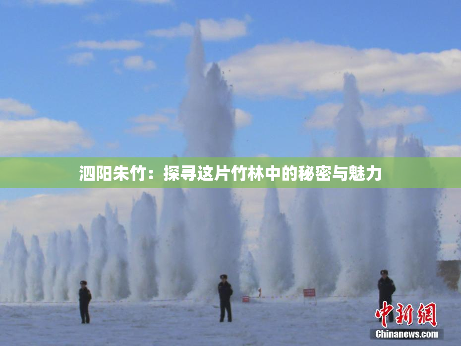 泗阳朱竹：探寻这片竹林中的秘密与魅力