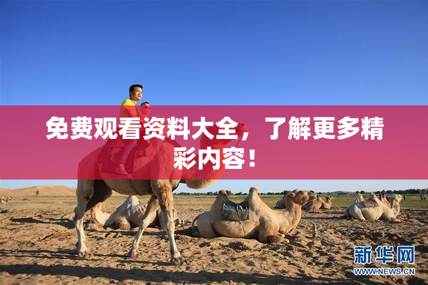免费观看资料大全，了解更多精彩内容！