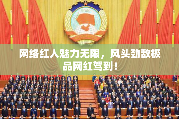 网络红人魅力无限，风头劲敌极品网红驾到！