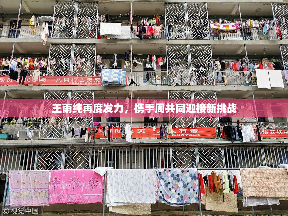 王雨纯再度发力，携手周共同迎接新挑战