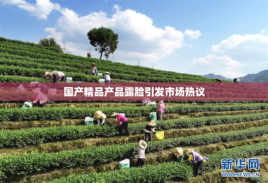 国产精品产品露脸引发市场热议