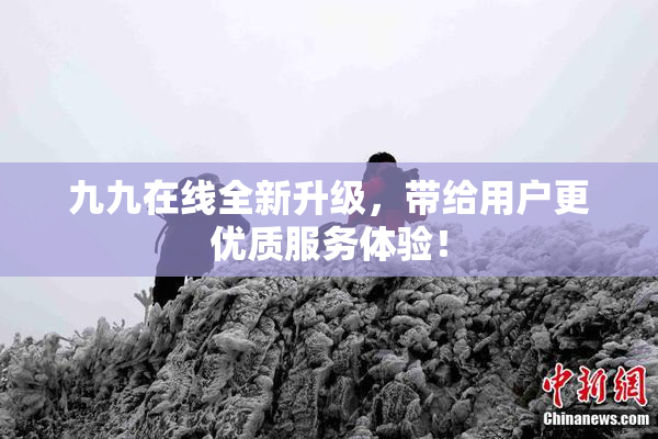 九九在线全新升级，带给用户更优质服务体验！
