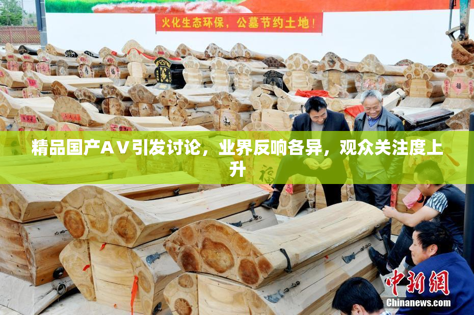 精品国产AⅤ引发讨论，业界反响各异，观众关注度上升