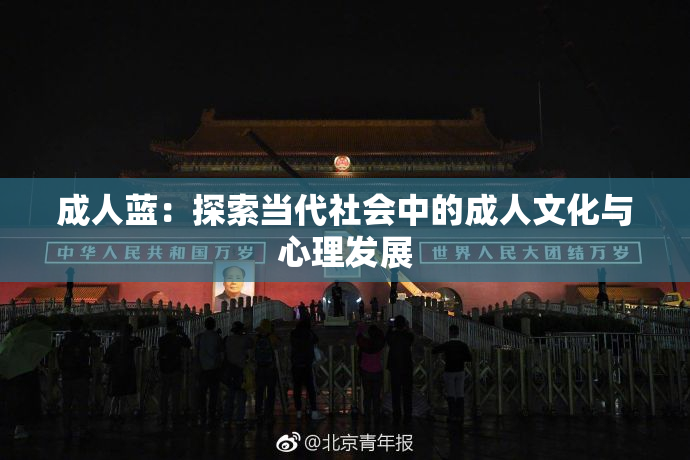 成人蓝：探索当代社会中的成人文化与心理发展