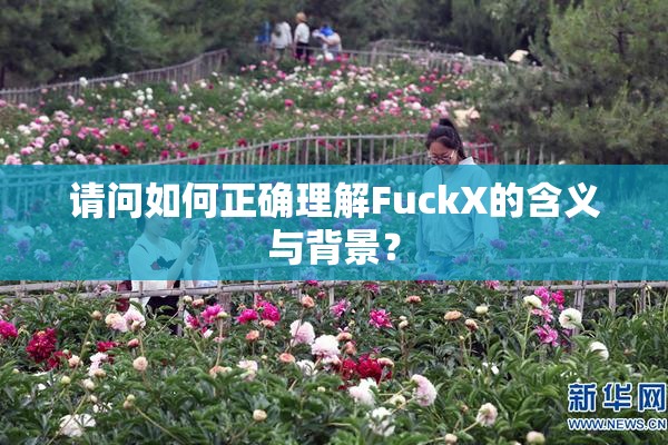 请问如何正确理解FuckX的含义与背景？