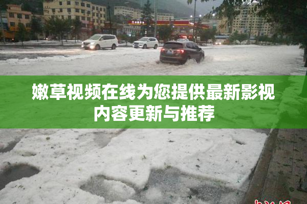 嫩草视频在线为您提供最新影视内容更新与推荐