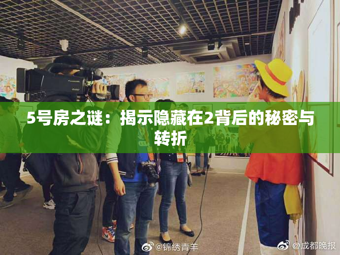 5号房之谜：揭示隐藏在2背后的秘密与转折