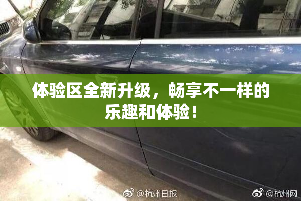 体验区全新升级，畅享不一样的乐趣和体验！