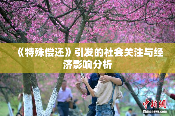 《特殊偿还》引发的社会关注与经济影响分析