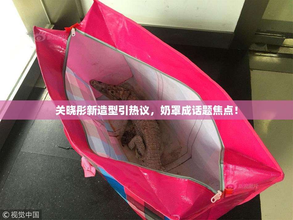 关晓彤新造型引热议，奶罩成话题焦点！