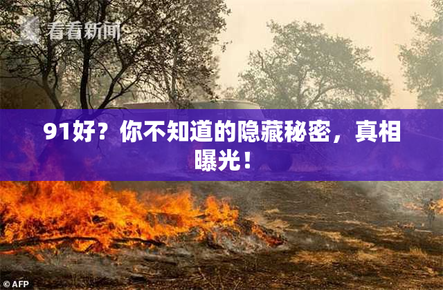 91好？你不知道的隐藏秘密，真相曝光！