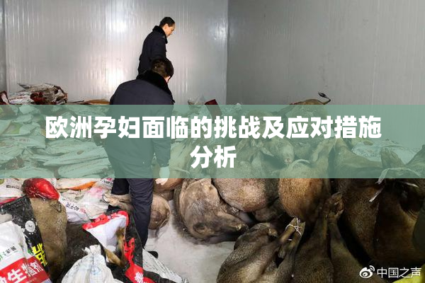 欧洲孕妇面临的挑战及应对措施分析