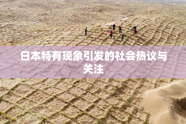 日本特有现象引发的社会热议与关注