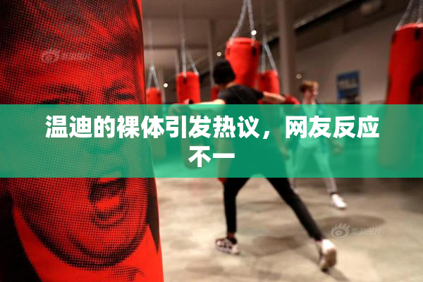 温迪的裸体引发热议，网友反应不一